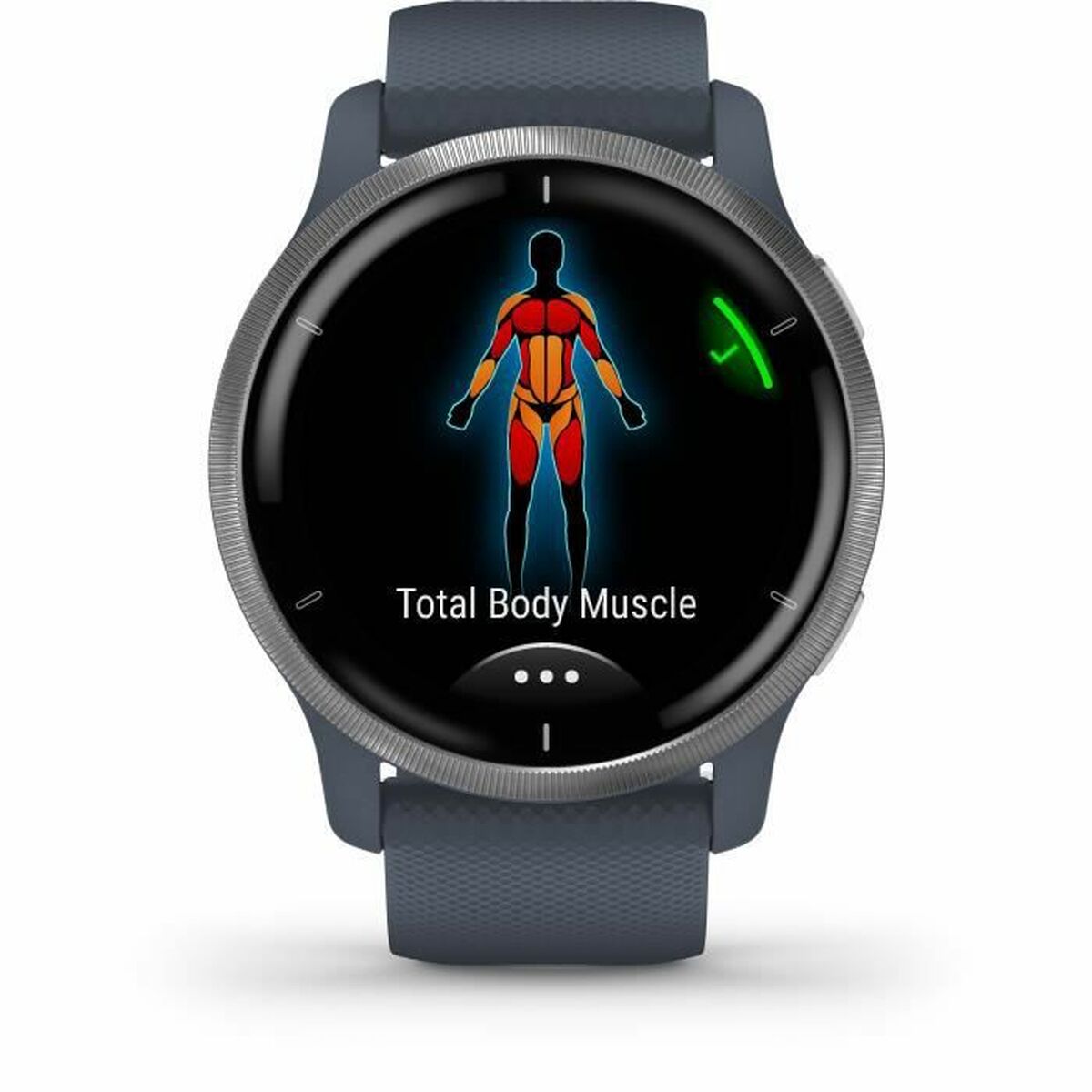 Smartwatch GARMIN 010-02430-10 Azul Plateado
