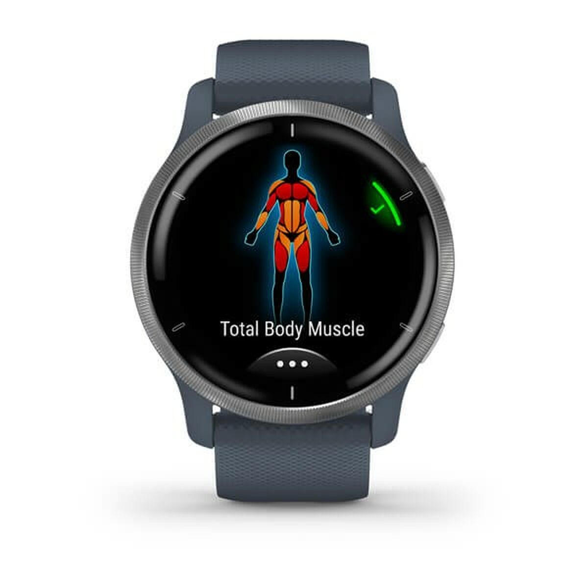 Smartwatch GARMIN 010-02430-10 Azul Plateado