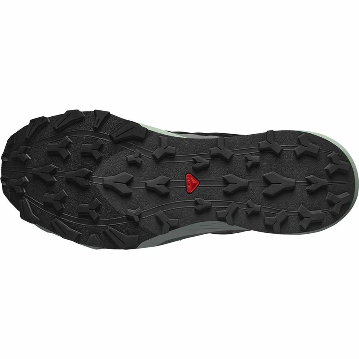 Zapatillas de Running para Adultos Salomon Thundercross Gris oscuro