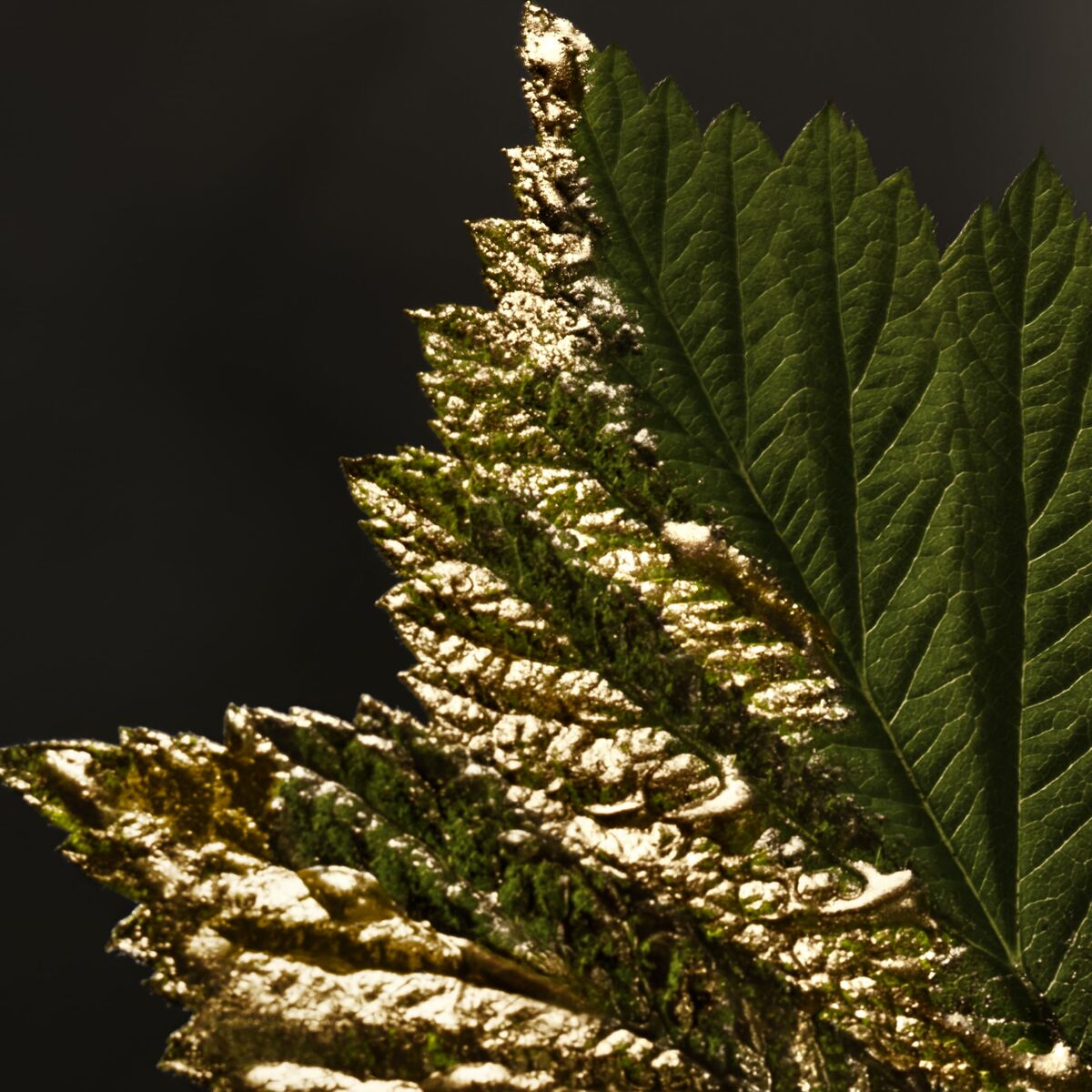 Set de Perfume Mujer BOSS BOSS BOTTLED