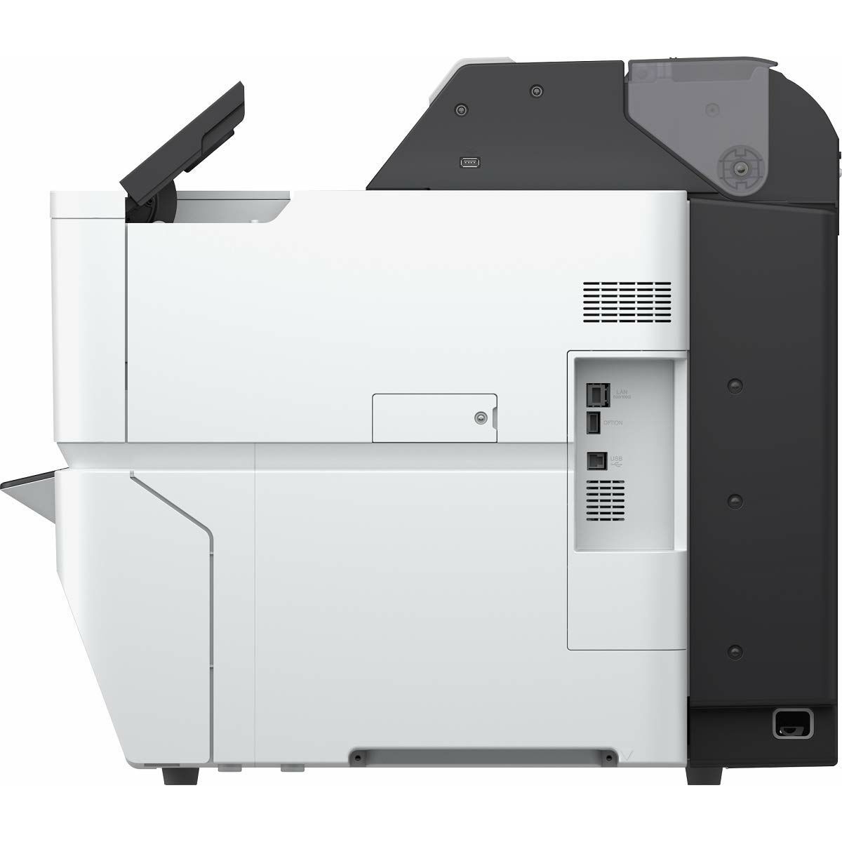 Cama para Perro Epson C11CJ55302A0