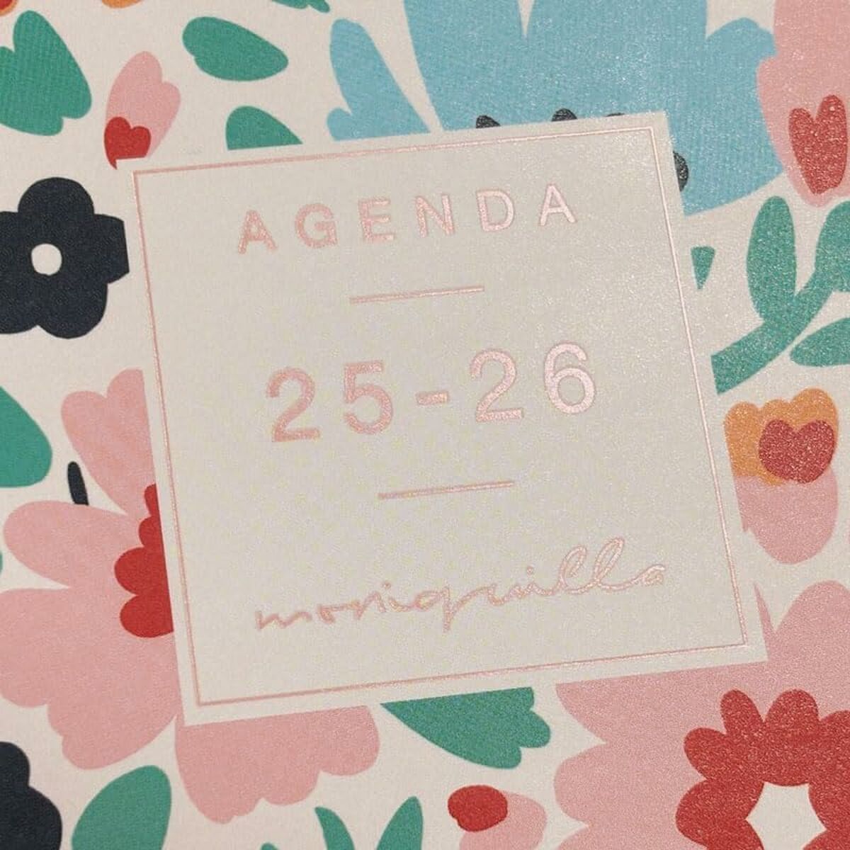 Agenda Finocam