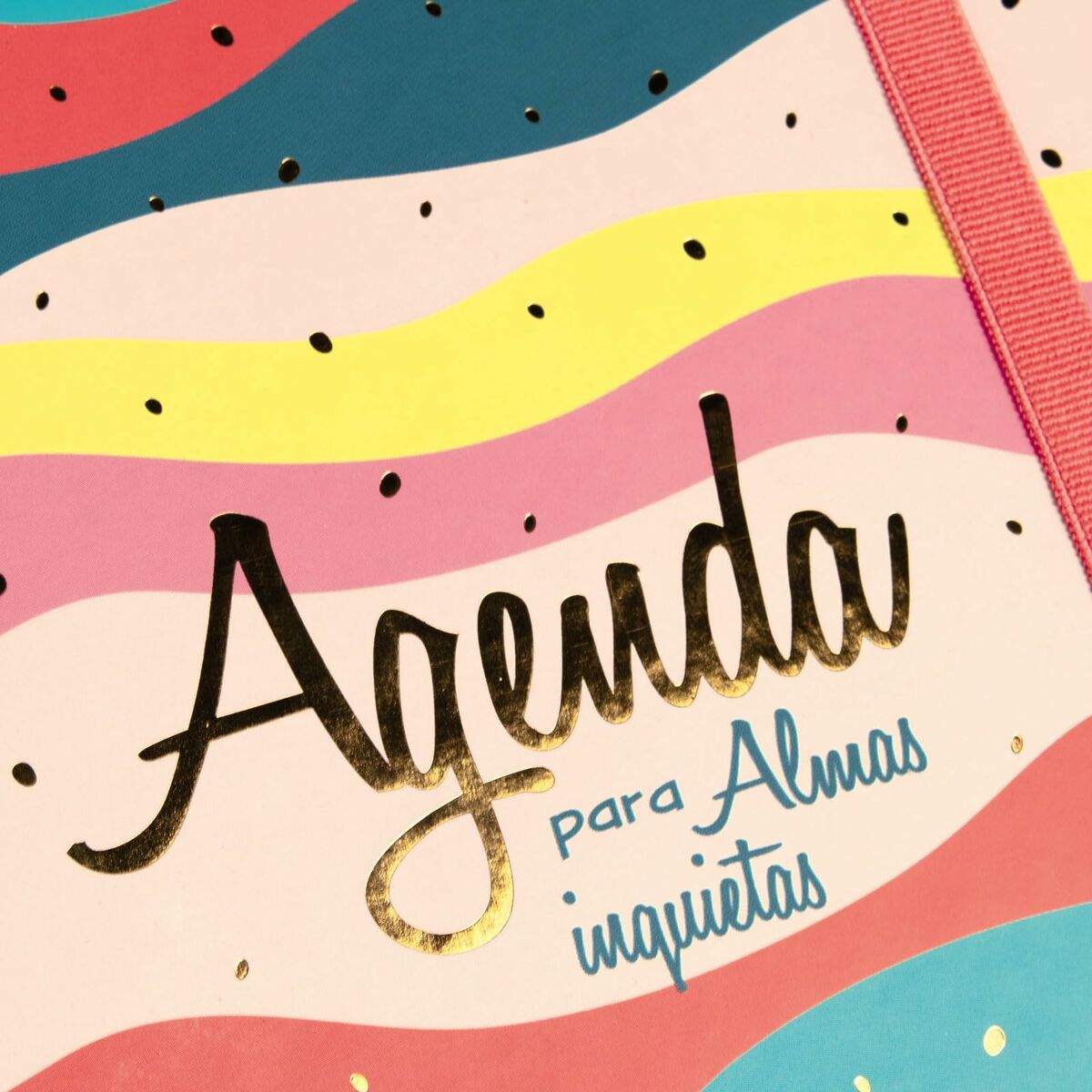 Agenda Finocam