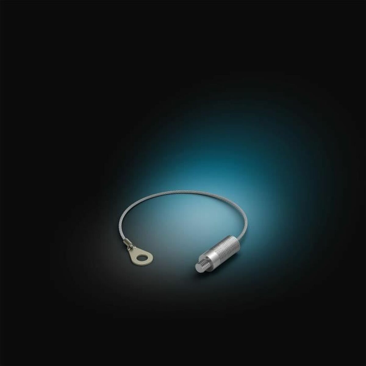 Interruptor Philips Negro