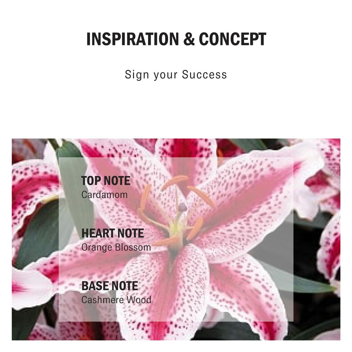 Desodorante Mercedes Benz Sign 75 g