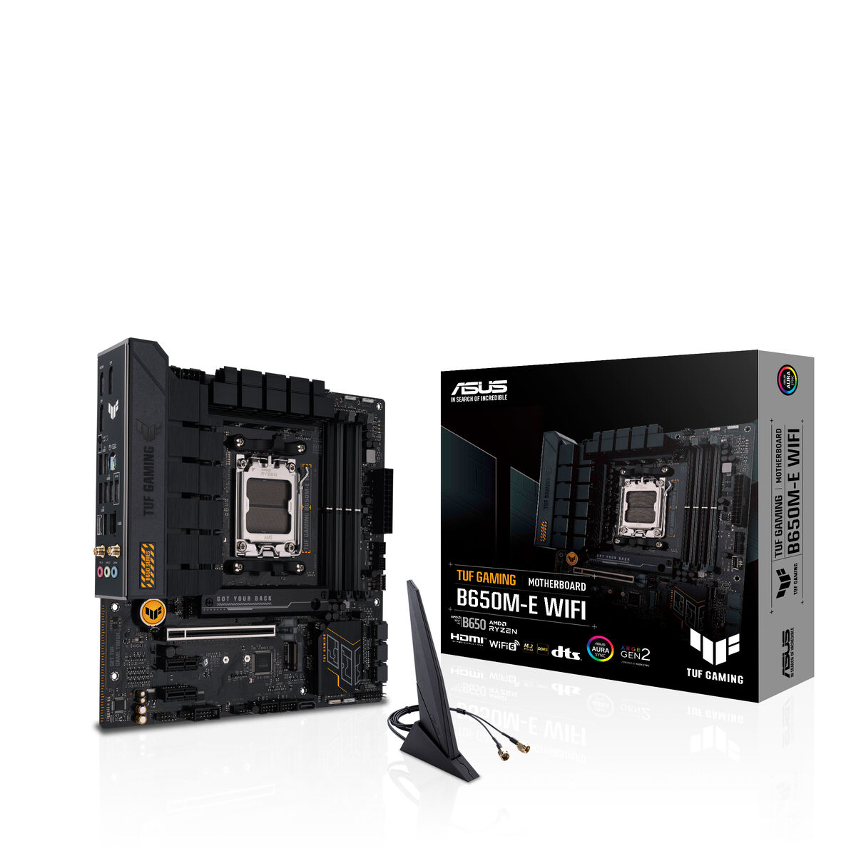 Placa Base Asus AMD AM5 AMD AMD B650