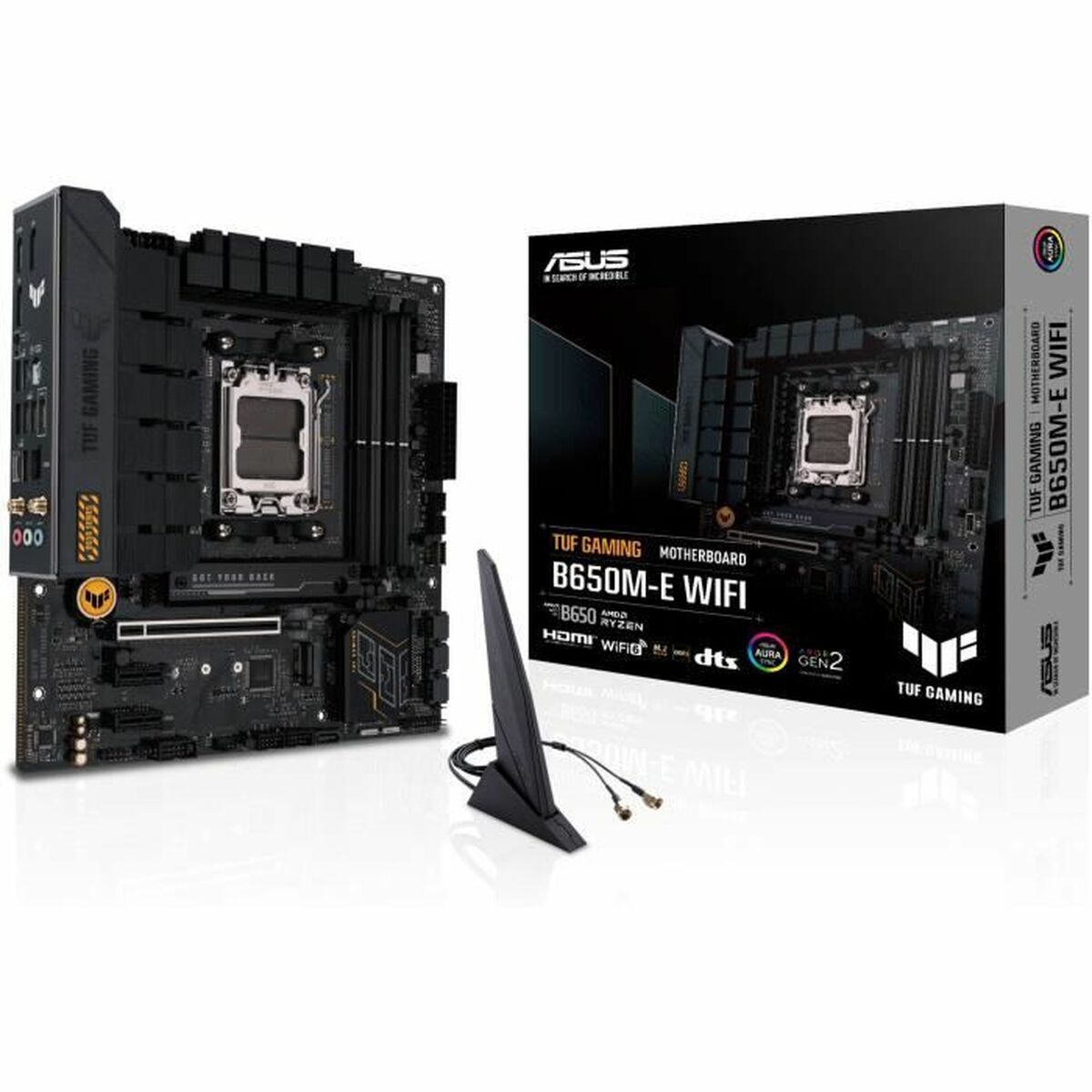 Placa Base Asus AMD AM5 AMD AMD B650