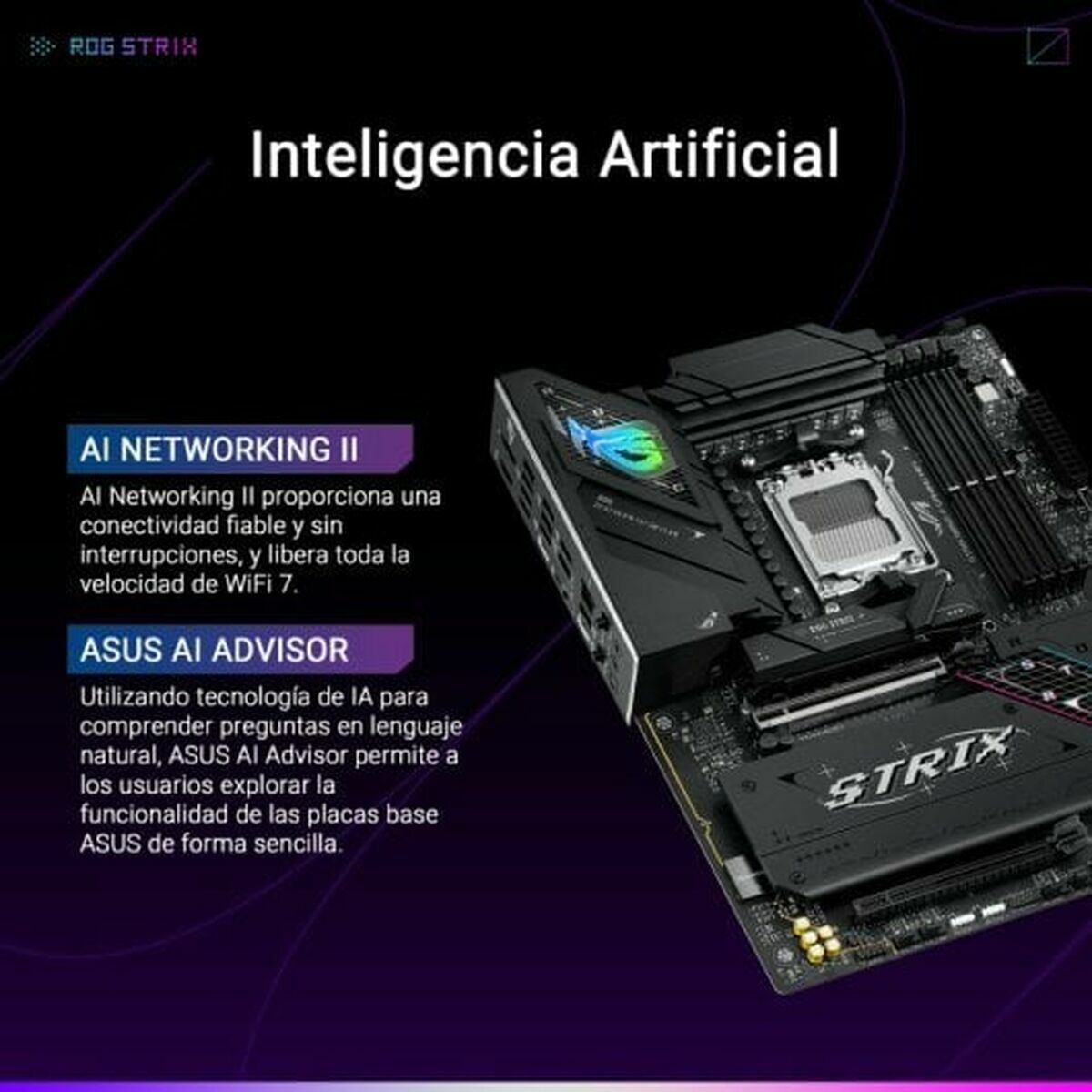 Placa Base Asus AMD AM5 AMD