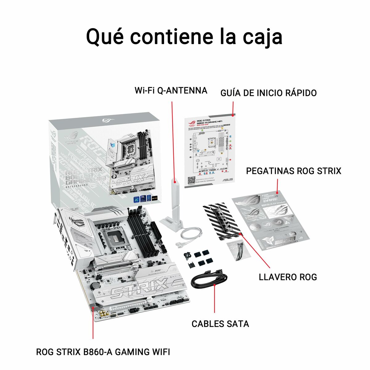 Placa Base Asus LGA 1851
