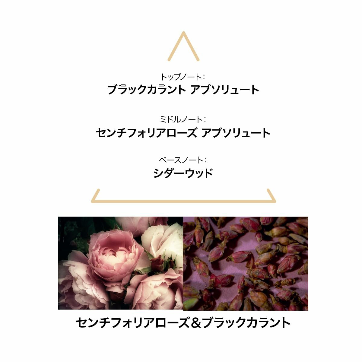 Perfume Mujer Le Couvent des Minimes EDP