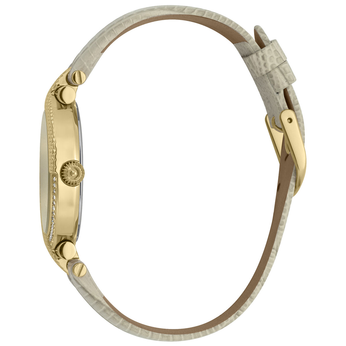 Reloj Mujer Just Cavalli JC1L105L0025 (Ø 34 mm)