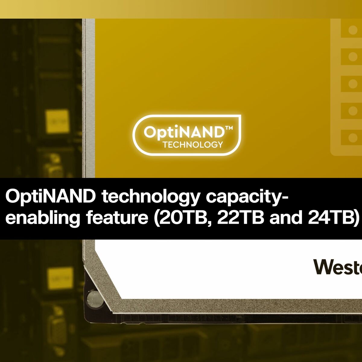 Disco Duro Western Digital WD241KRYZ 3,5" 24 TB