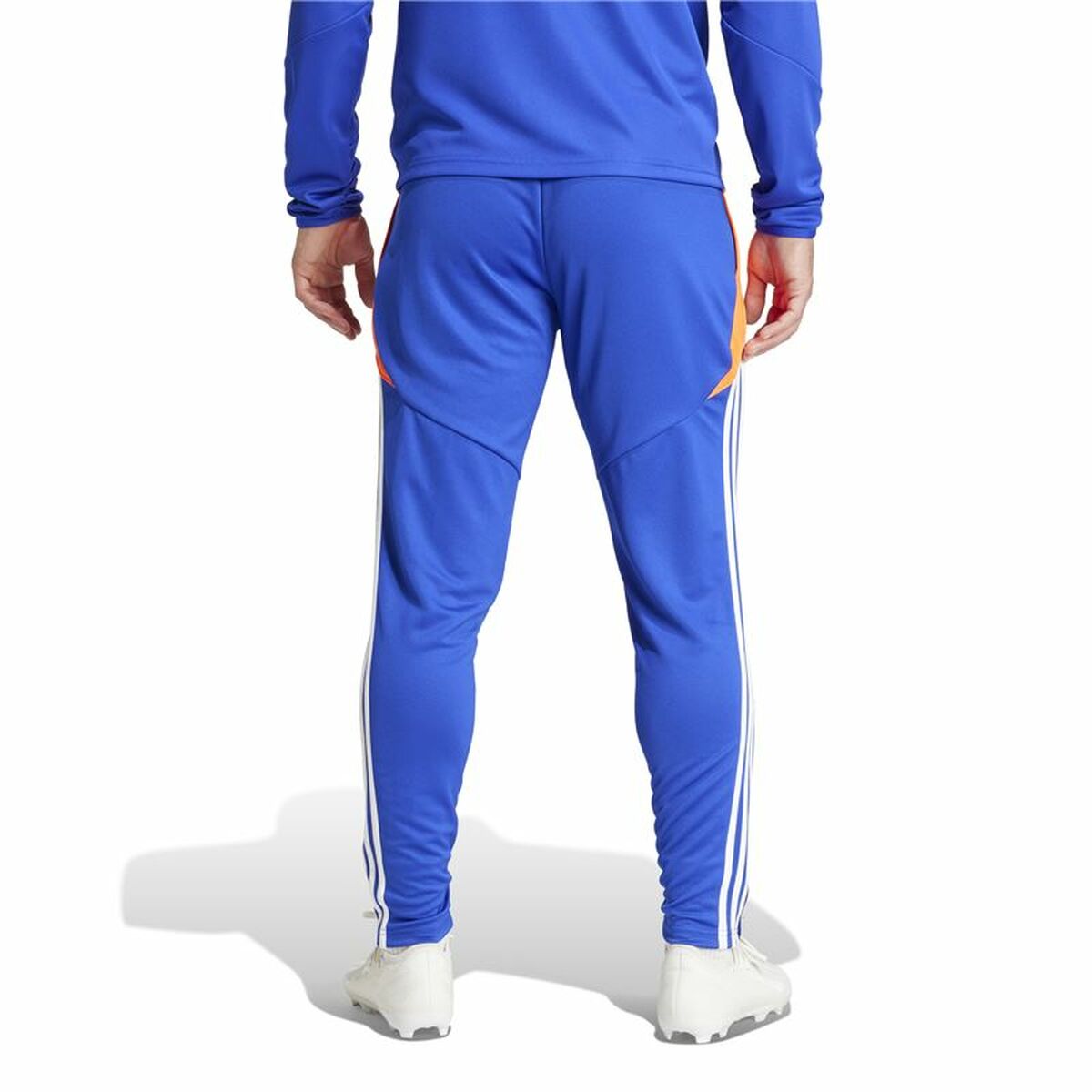 Pantalón de Entrenamiento de Fútbol para Adultos Adidas Tiro24 Training Regular Hombre