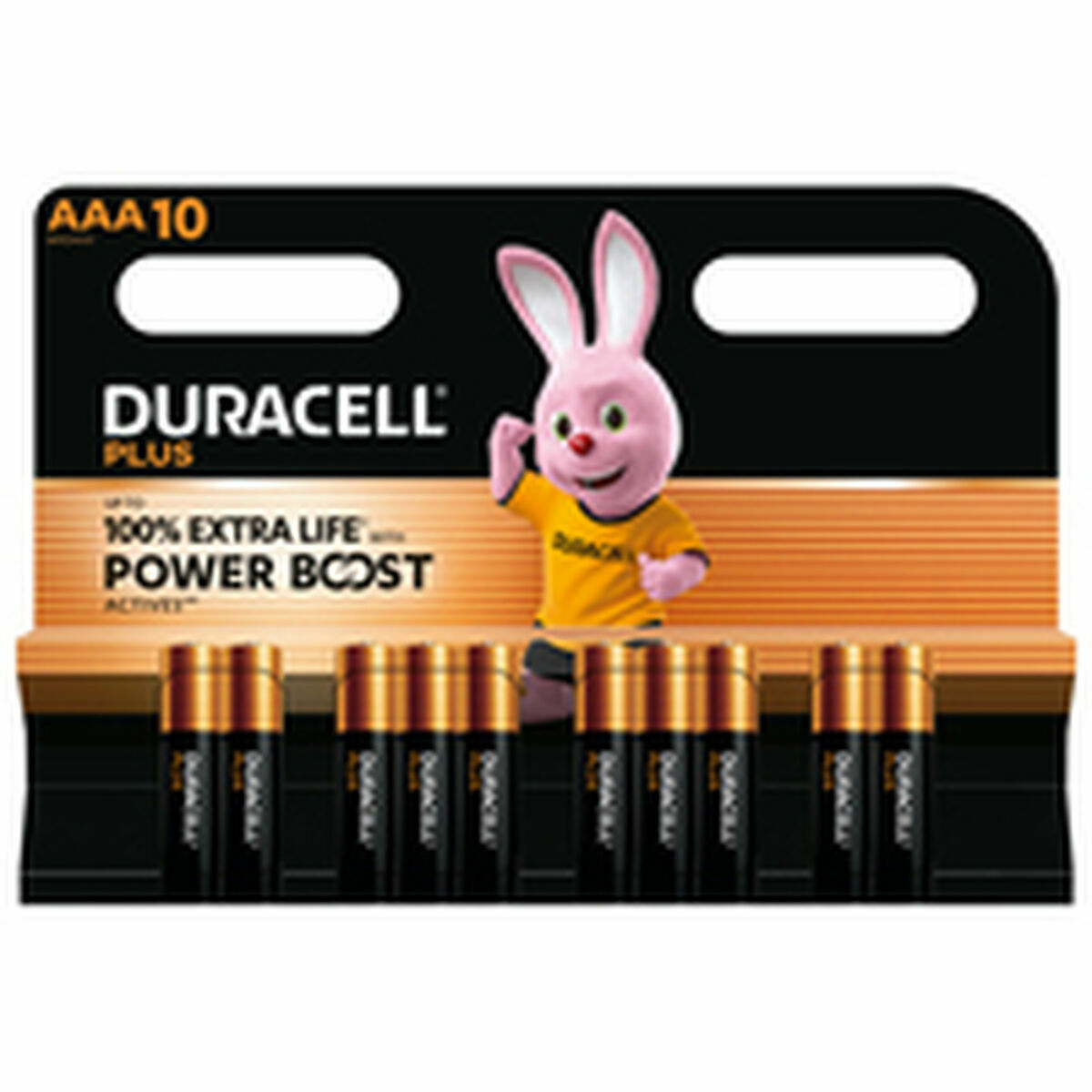 Pilas Recargables DURACELL DPBLR3B10 1,5 V AAA