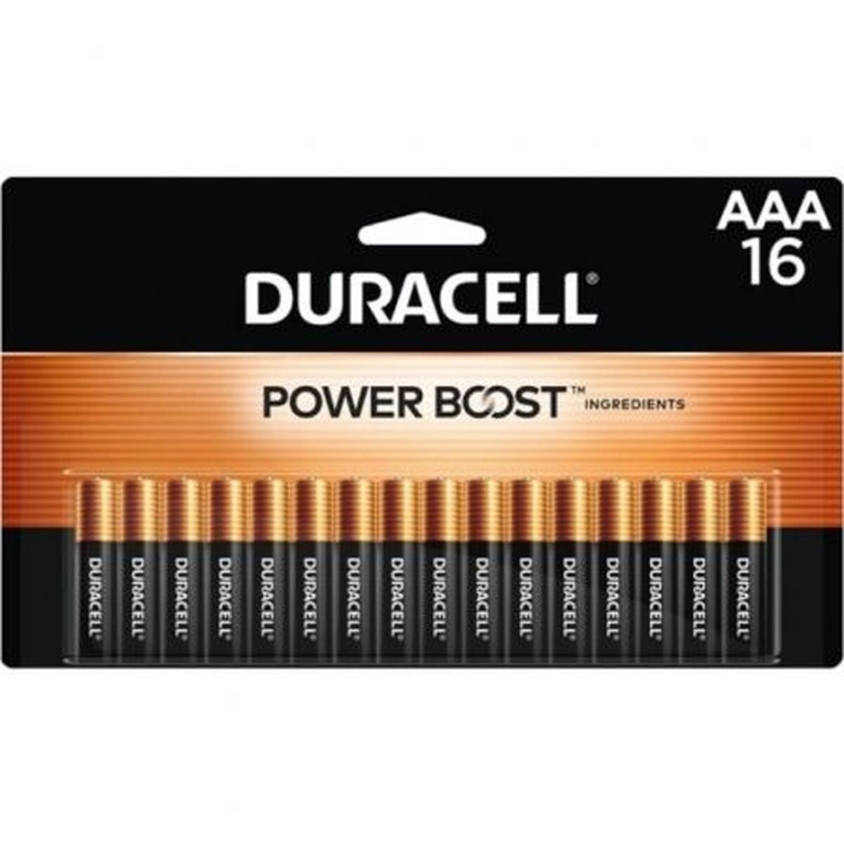 Pilas DURACELL DPBLR3B16 1,5 V AAA