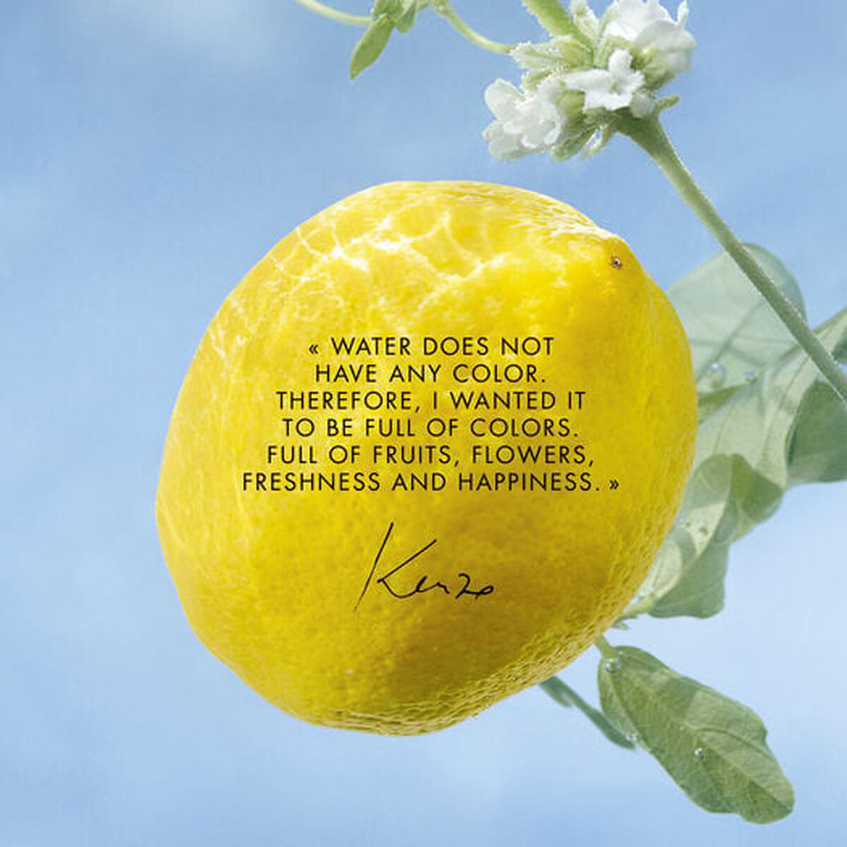 Perfume Unisex Kenzo L'EAU PURE