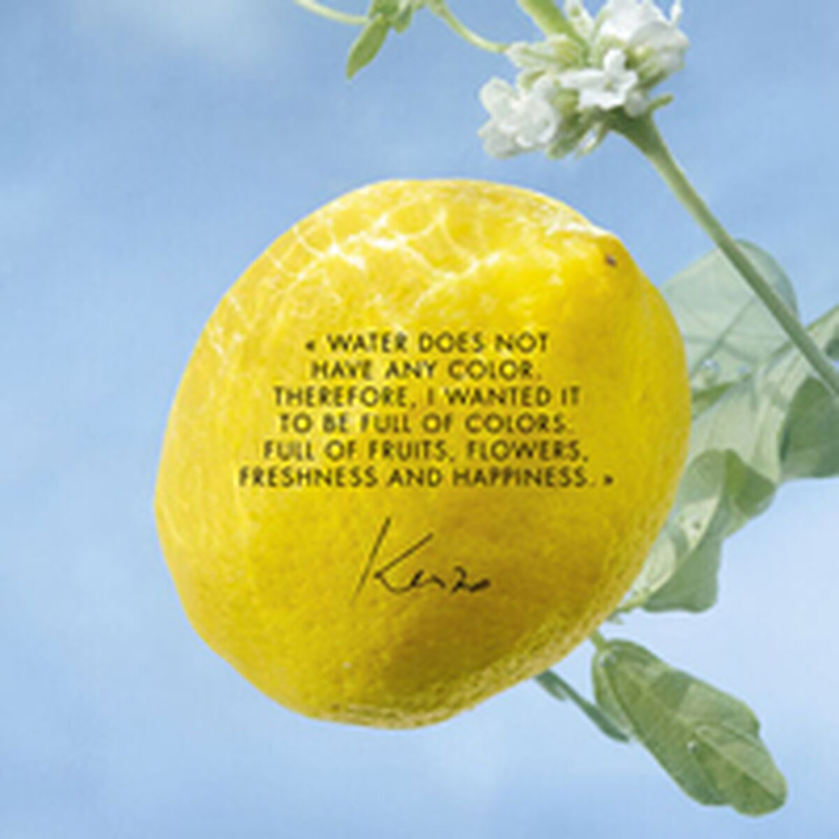 Perfume Unisex Kenzo L'EAU PURE