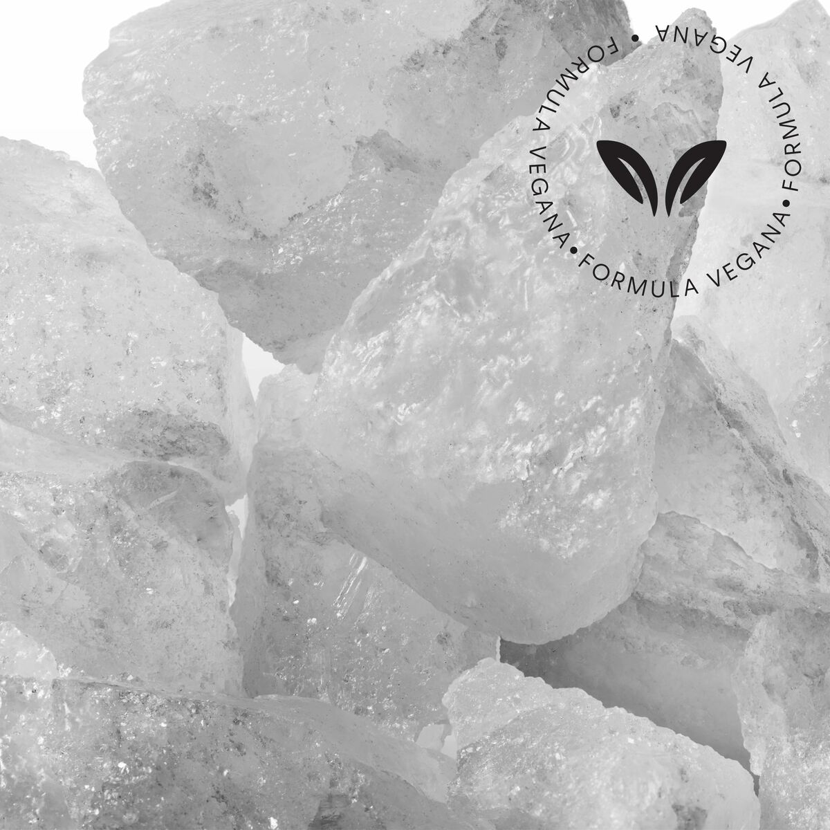 Perfume Unisex Calvin Klein CK Ck One Essence 100 ml