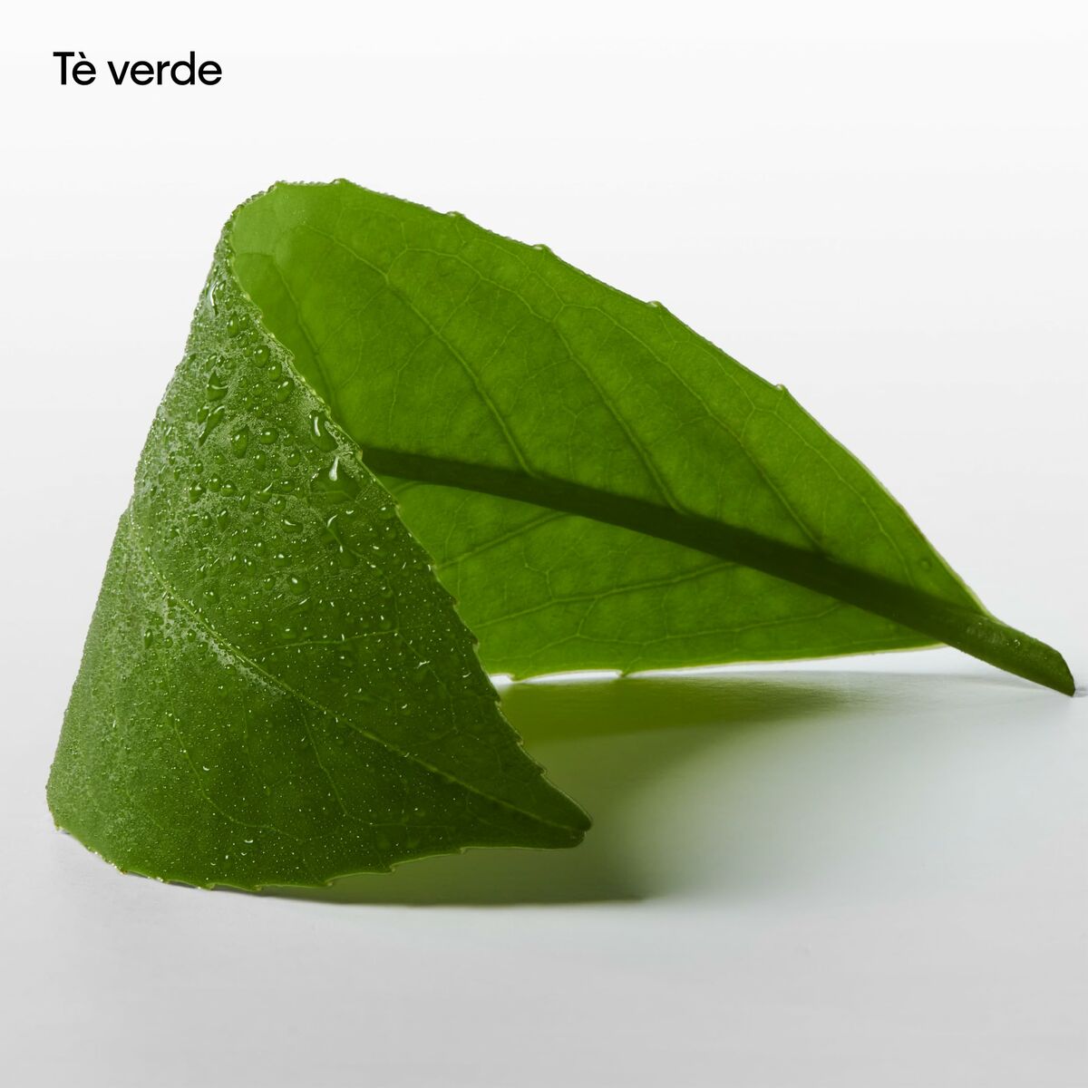 Perfume Unisex Calvin Klein CK Ck One Essence 100 ml