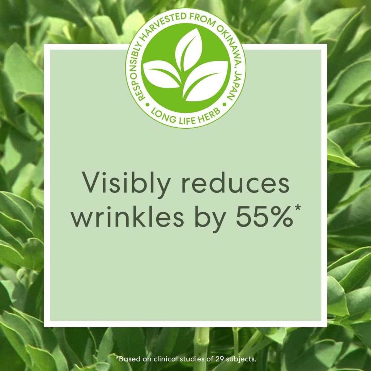 Crema Facial bareMinerals Skinlongevity 15 ml