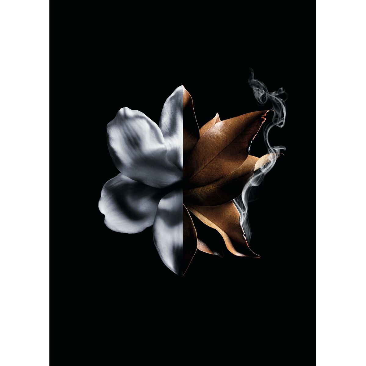 Perfume Mujer Givenchy L'Interdit Absolu L'Interdit Absolu 50 ml