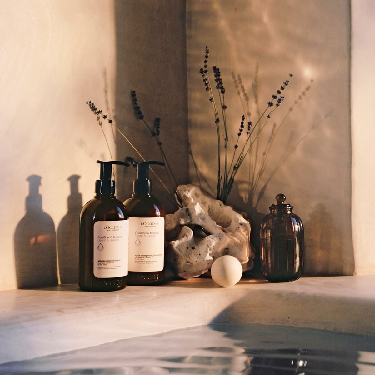 Acondicionador L'Occitane En Provence AROMACOLOGÍA 250 ml