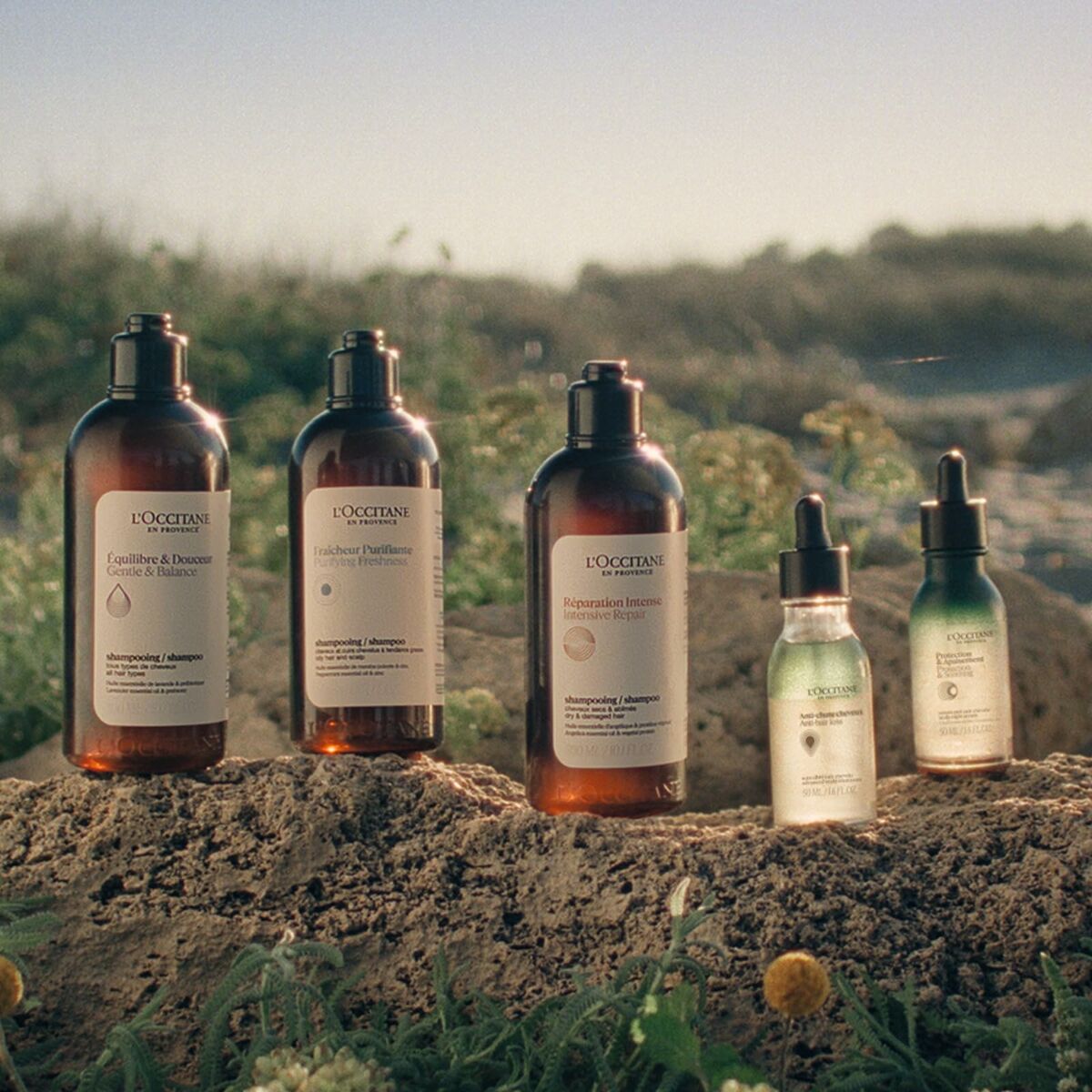 Champú L'Occitane En Provence AROMACOLOGÍA 75 ml