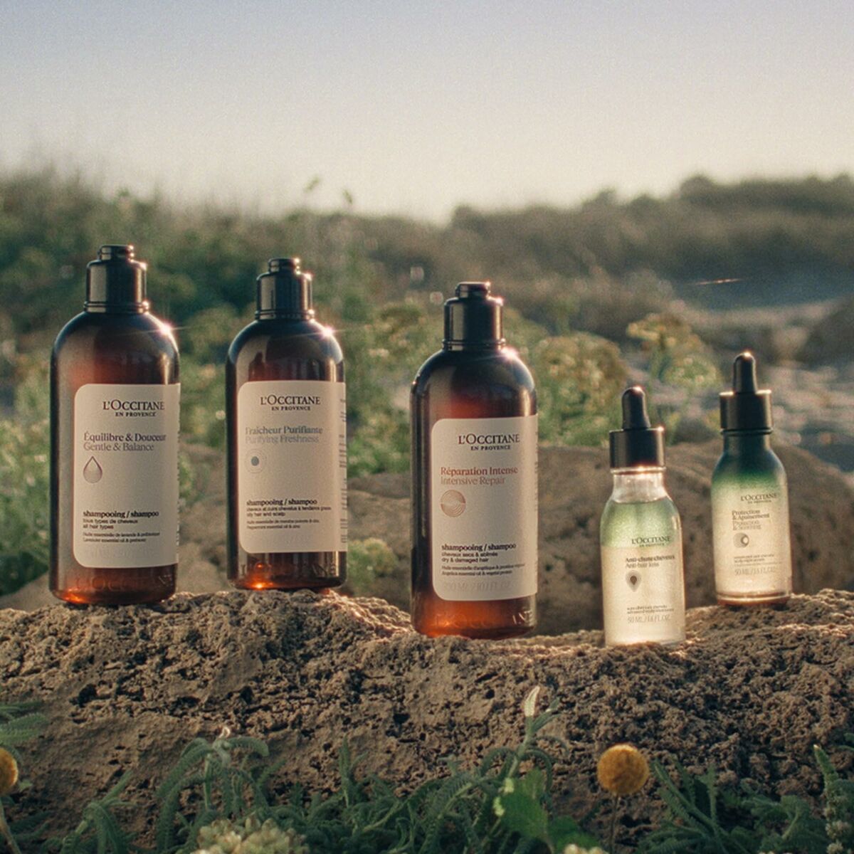 Champú L'Occitane En Provence AROMACOLOGÍA 75 ml