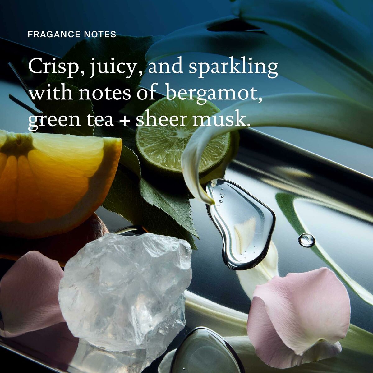 Acondicionador Living Proof PERFECT HAIR DAY 236 ml