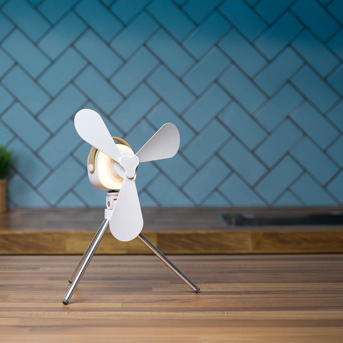 Ventilador de Sobremesa Lifetime Blanco 28 x 28 x 34 cm