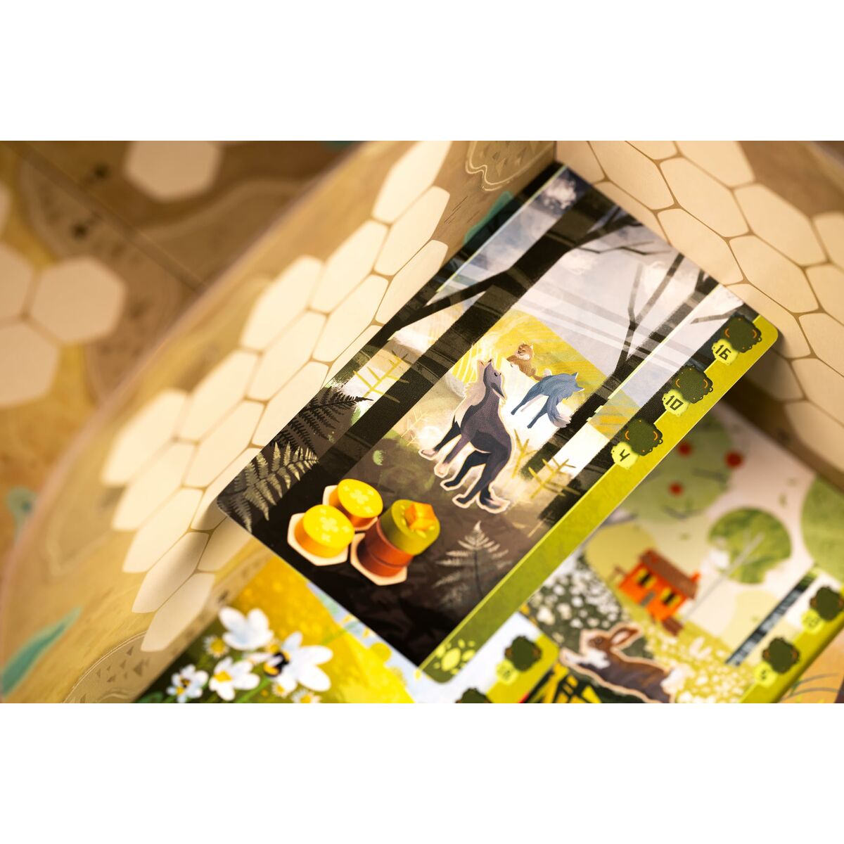 Juego de Mesa Asmodee