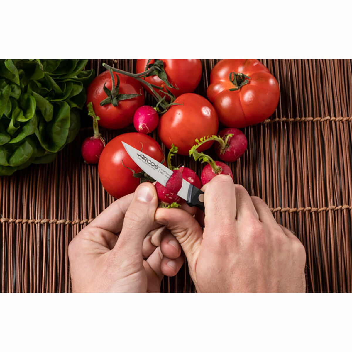 Cuchillo Mondador Arcos serie universal 75 mm Acero Inoxidable