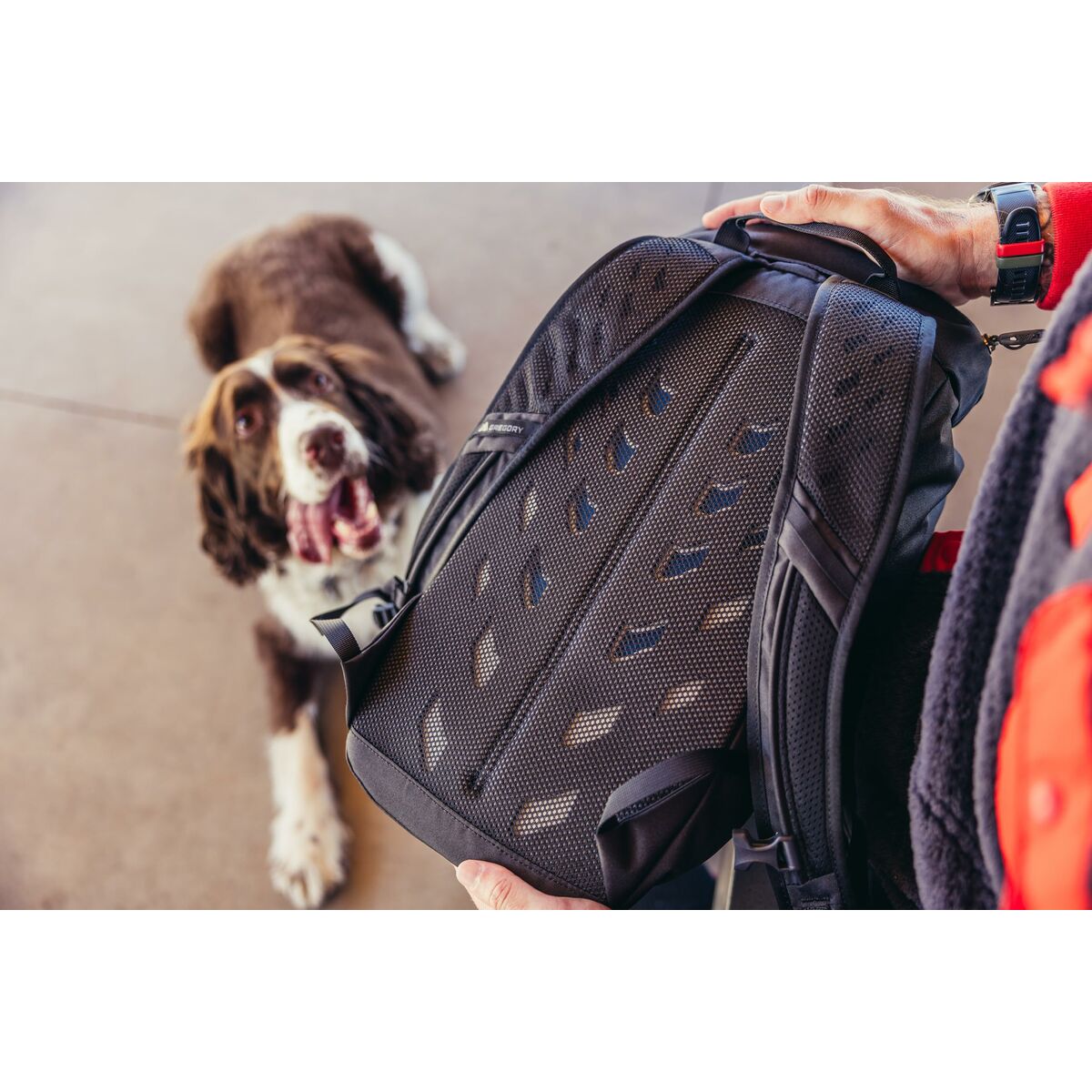 Mochila Deportiva Gregory 153057-8885 Granate 18 L 27 x 51 x 20 cm