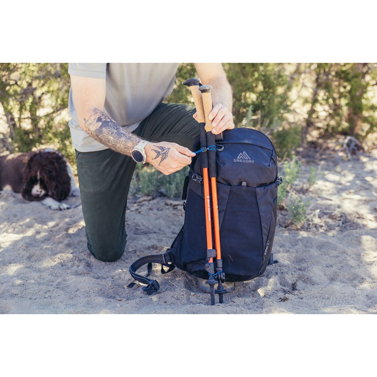 Mochila Deportiva Gregory 153039-A543 Negro 24 L