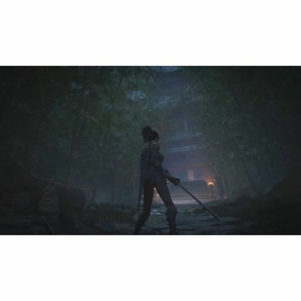 Videojuego PlayStation 5 Just For Games