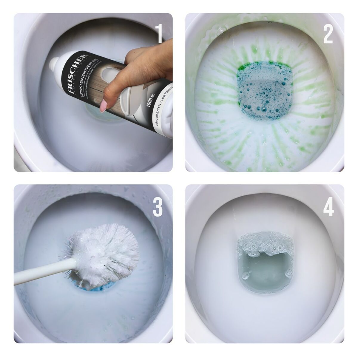 Limpiador Frischer FR00240_1000