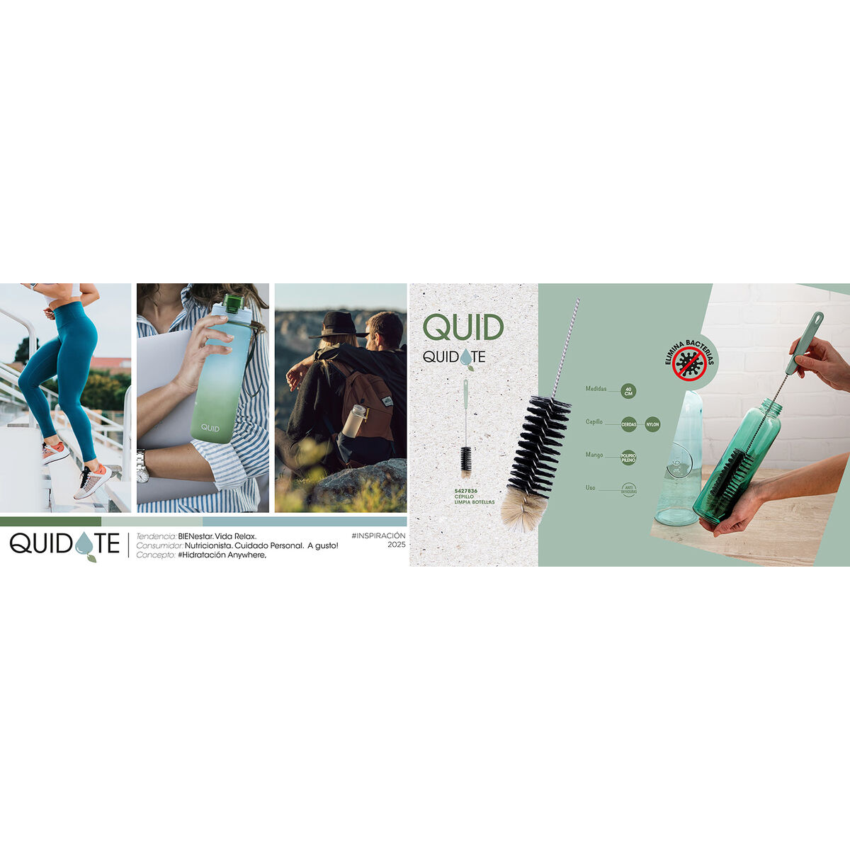 Cepillo limpiador Quid Quidate Verde Nailon Plástico 40 cm Botella (12 Unidades)