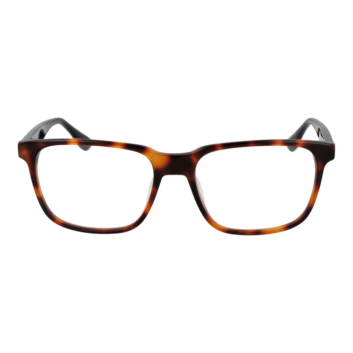 Montura de Gafas Hombre BMW BW5063-H 55053
