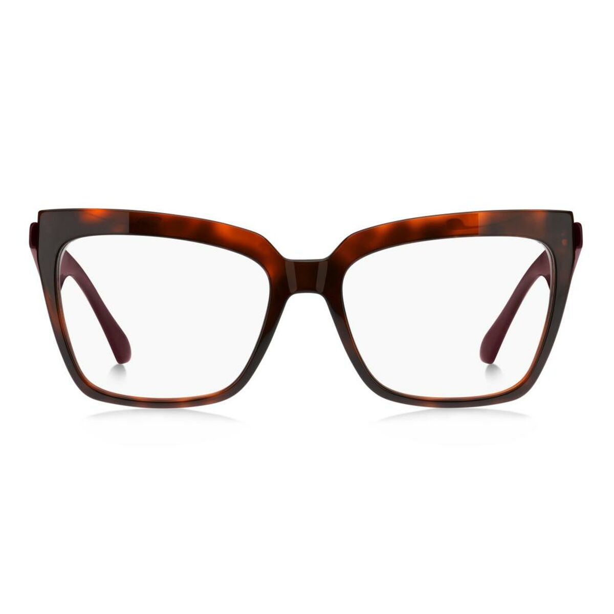 Montura de Gafas Etro ETRO 0006