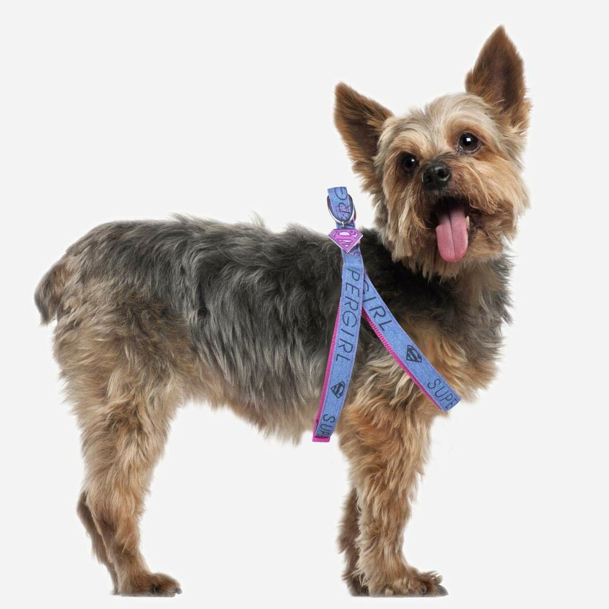 Arnés para Perro Superman Rosa