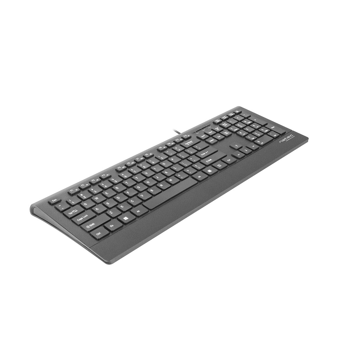 Teclado Natec NKL-0876 Negro