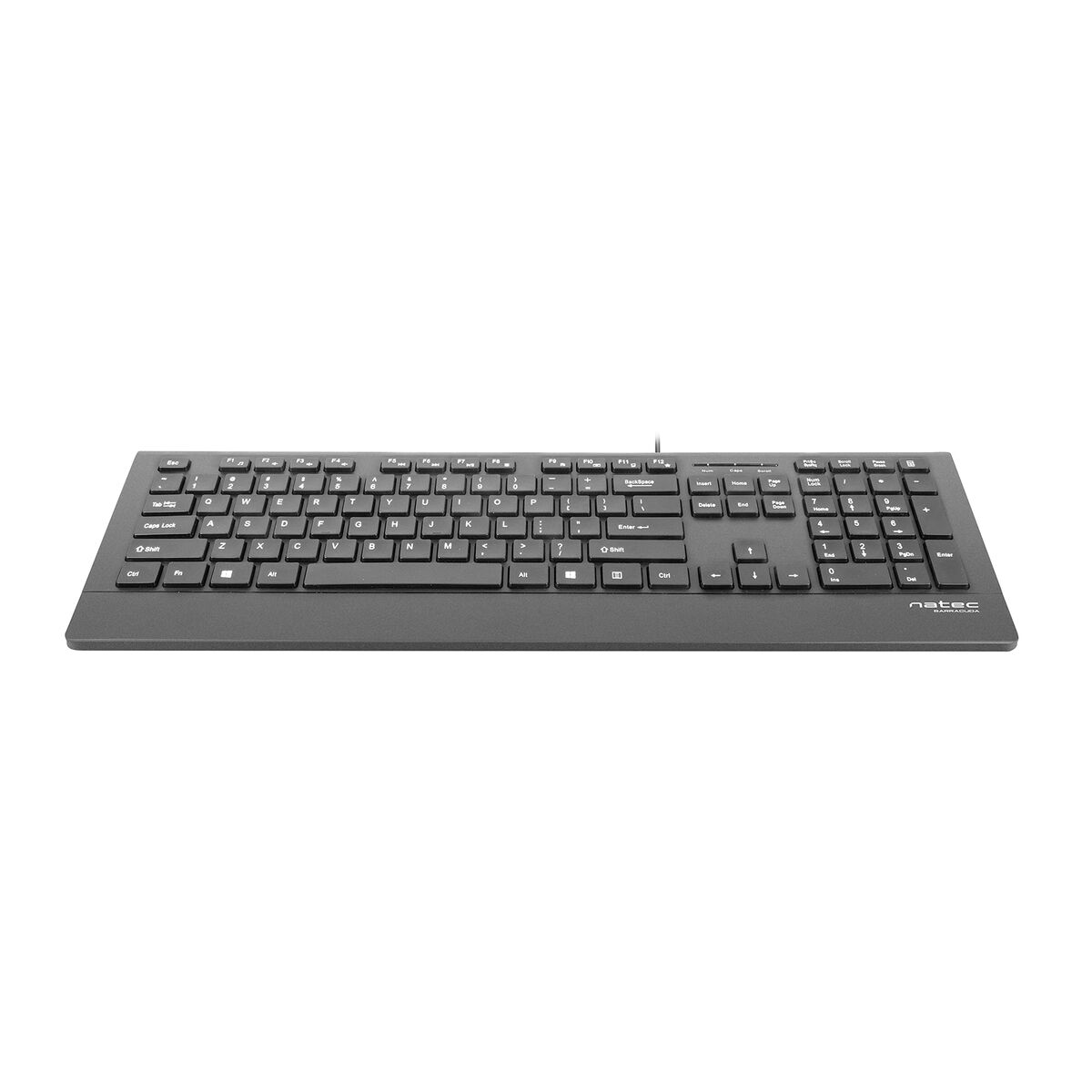 Teclado Natec NKL-0876 Negro