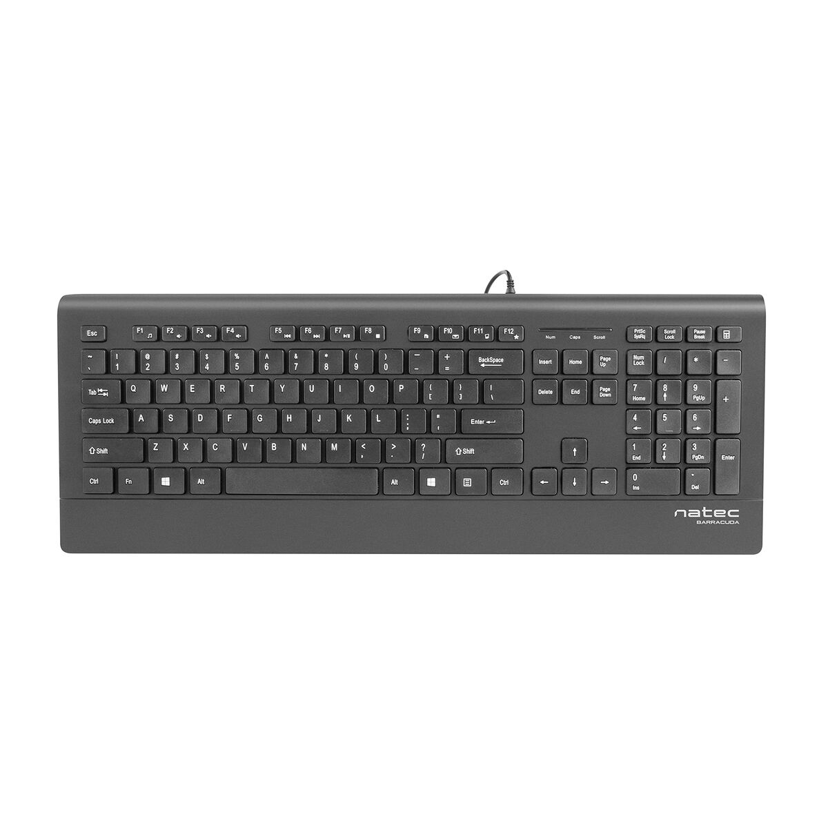 Teclado Natec NKL-0876 Negro