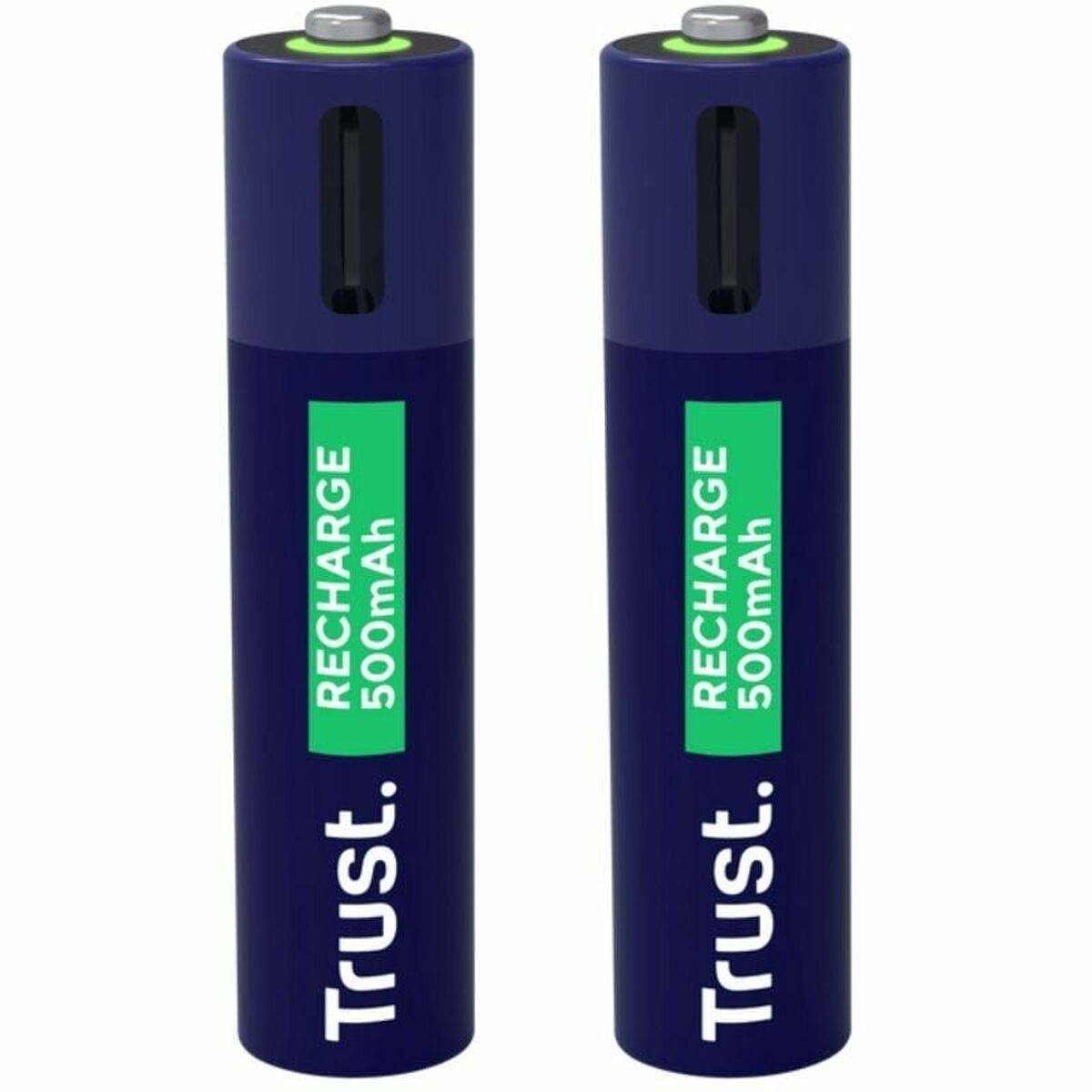 Pilas Trust 25585 AAA