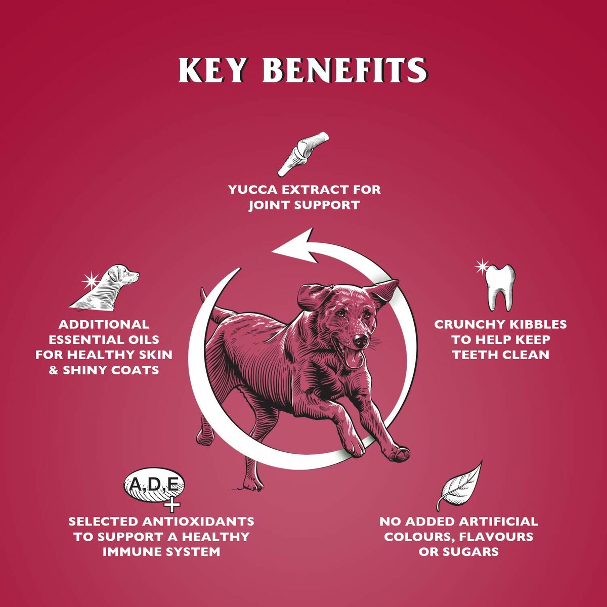 Pienso Dr.John Carne de vacuno 15 g 15 kg