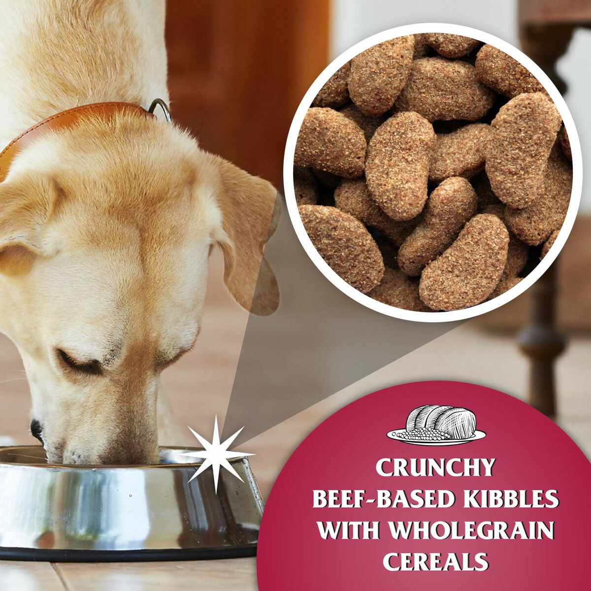 Pienso Dr.John Carne de vacuno 15 g 15 kg