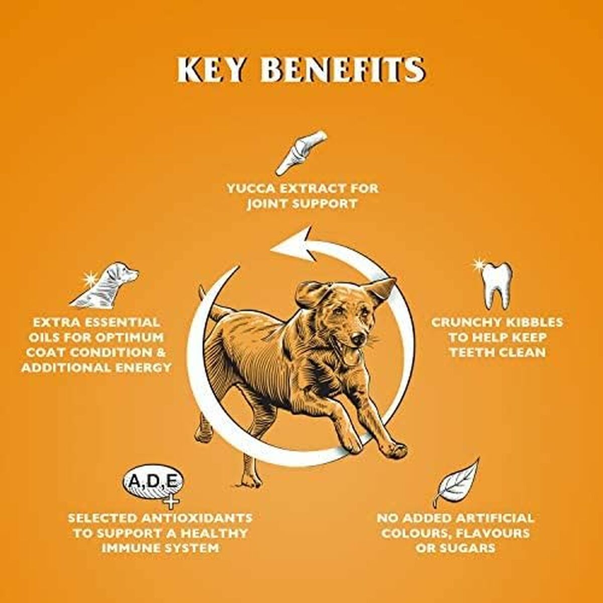 Pienso Dr.John Pollo 15 g 15 kg