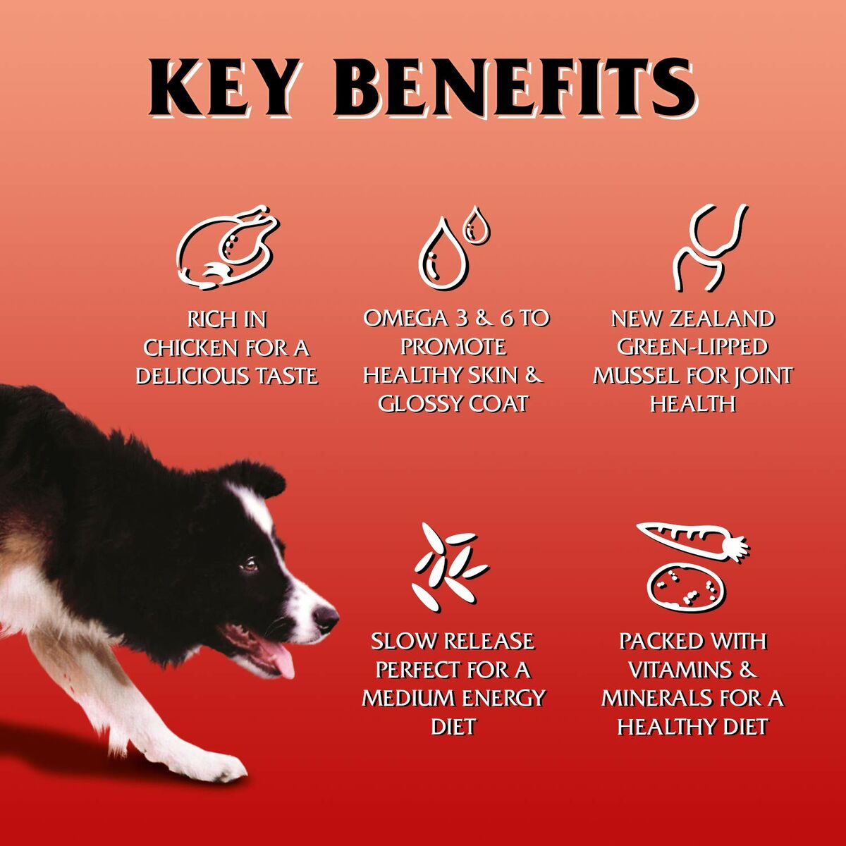 Pienso Glipa 16 Kg 15 kg