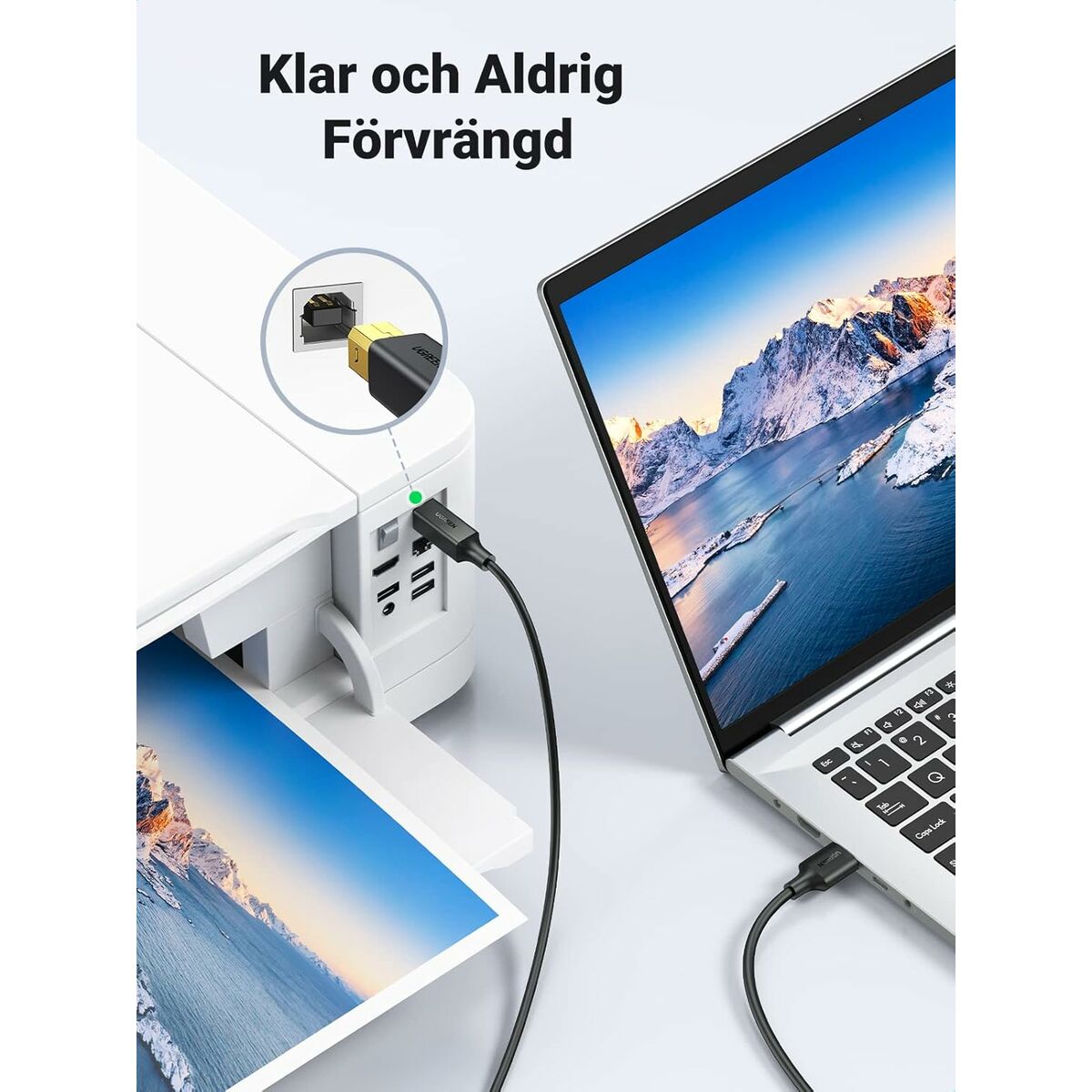 Cable USB 2.0 A a USB B Ugreen 10351 Negro 3 m