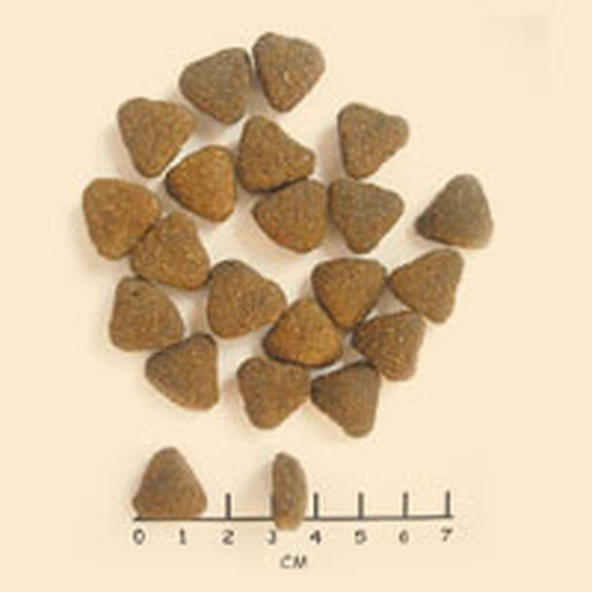 Pienso Wolfsblut Adulto Carne Batata 2 Kg